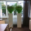 witte zuil groene schaal gras 2-4